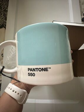 Pantone 550 Ceramic Color-Block Mug - Pale Aqua